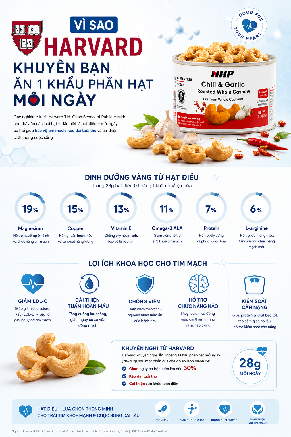 Why Harvard Recommends 1 Serving of Nuts Daily?