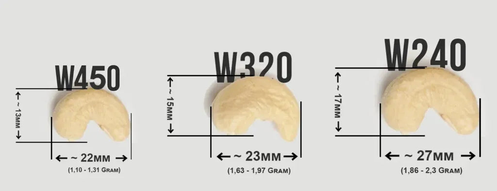 Cashew Nut Classification in International Trade – A Complete Guide by NHP Cashews