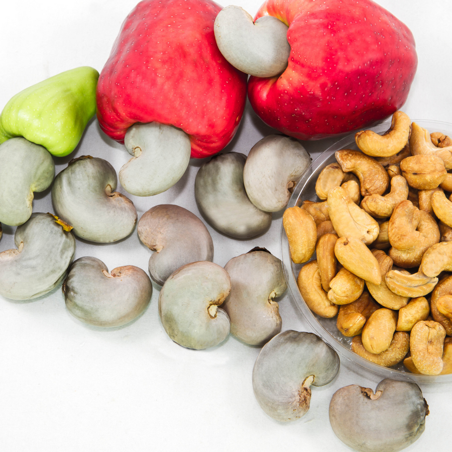 Hạt điều rang tỏi ớt NHP thuần chay không gluten
